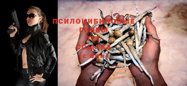 прущие крисы Балахна