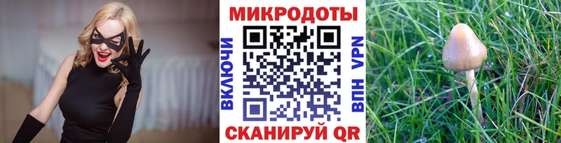 Галлюциногенные грибы Psilocybe  Лагань 